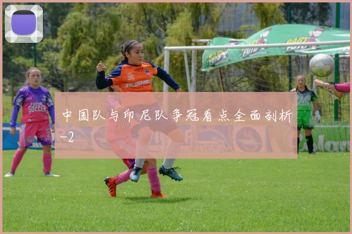 中国队与印尼队争冠看点全面剖析